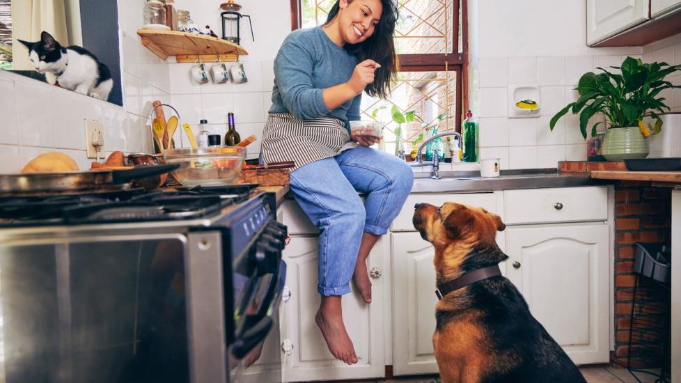 woman sitting on the kitchen counter and giving her dog a treat
