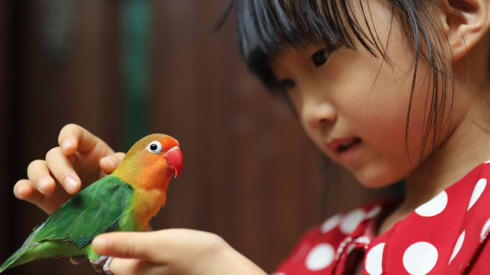 Girl holding pet bird