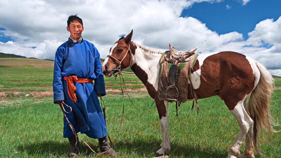 Chinese mongolian horse and rider