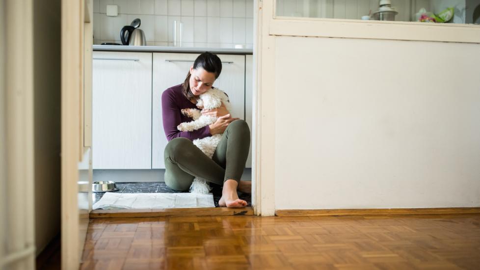 woman comforting white dog by holding him while sitting on floor.