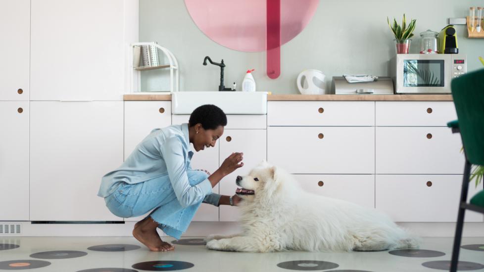 woman feeding treat to husky dog on kitchen floor