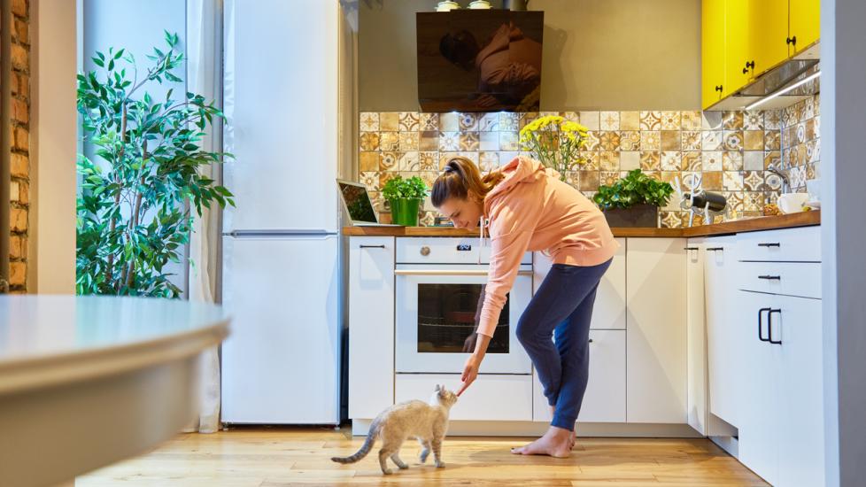 woman-petting-cat-in-kitchen