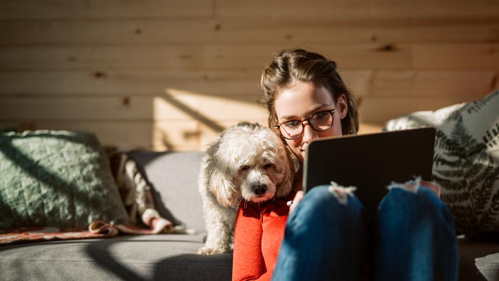 white fluffy dog peering over woman's shoulder looking at screen