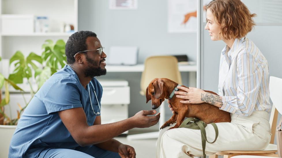 woman-talking-to-vet-while-holding-dog