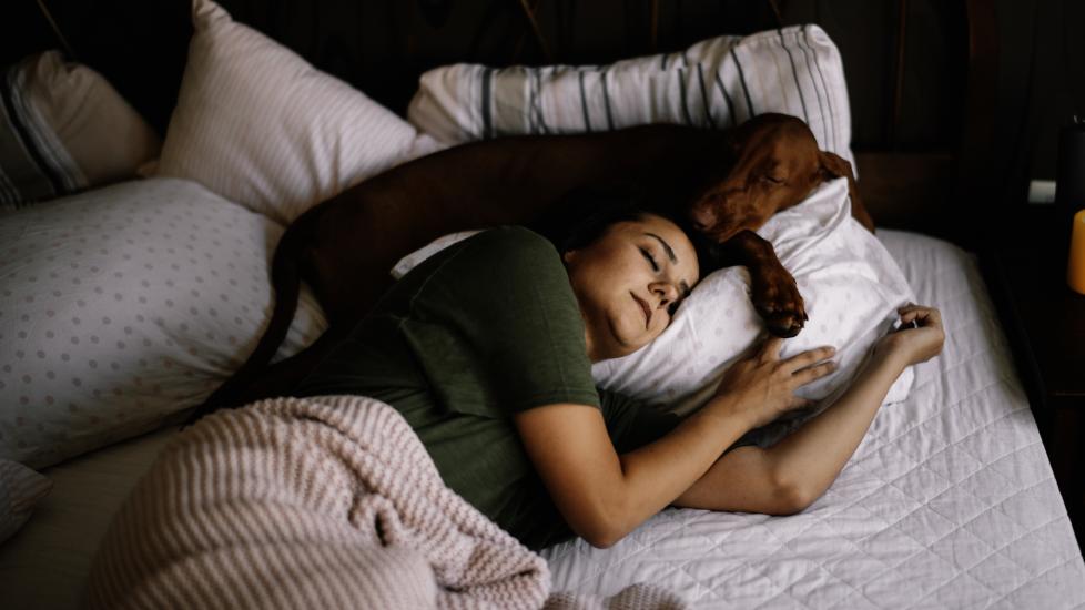 Should You Let Your Dog Sleep in Your Bed? PetMD