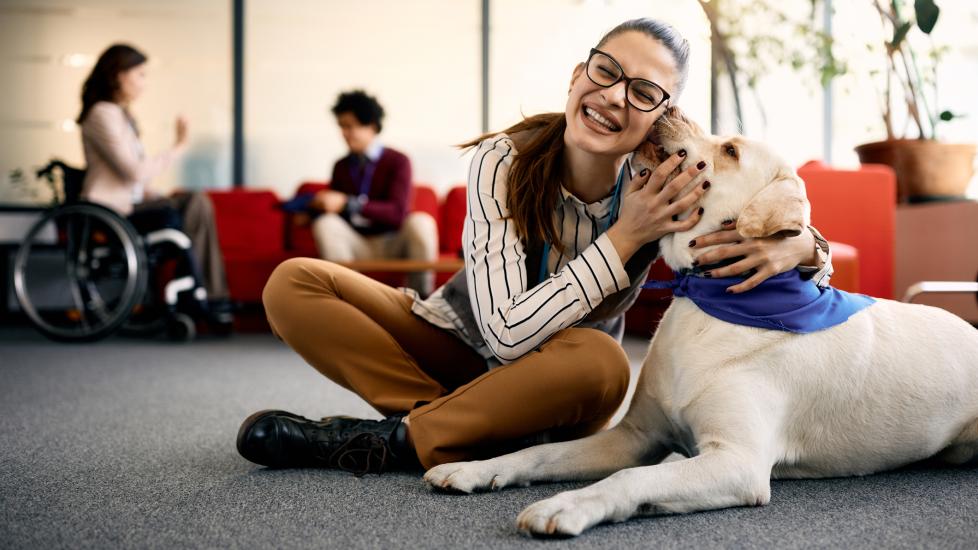 therapy dog sitting on office floor licking woman's face