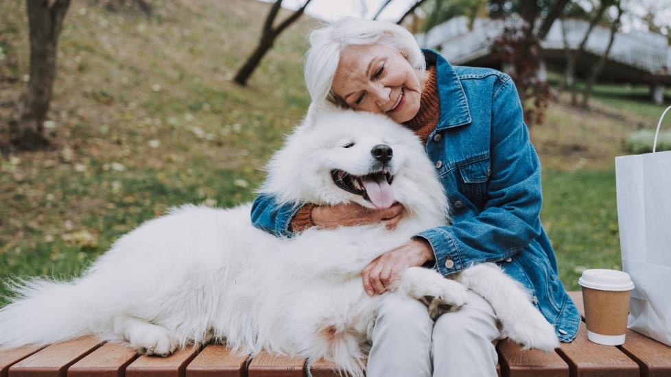 woman hugging a fluffy white dog on a bench