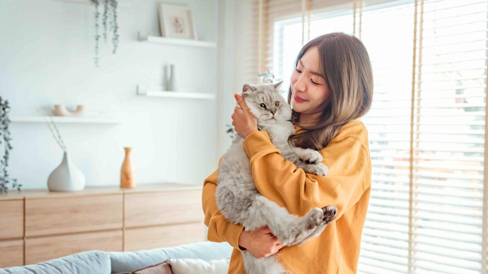 woman holding a longhaired silver cat in her apartment