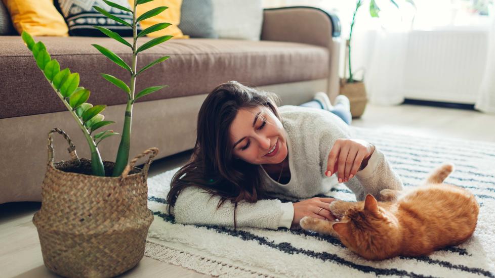 woman playing with an orange cat on the living room floor