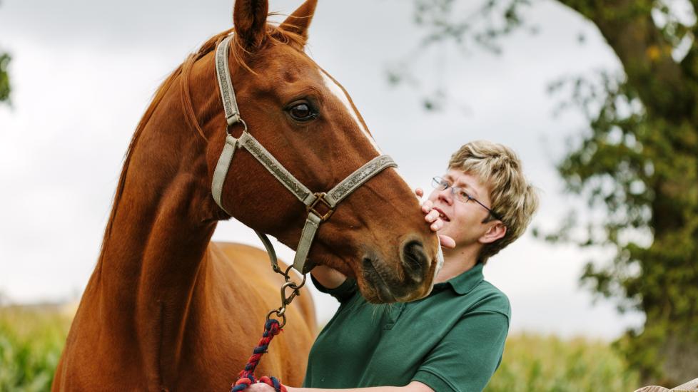 Ponazuril For Horses Horse Medication PetMD ponazuril-for-horses-horse-medication-petmd