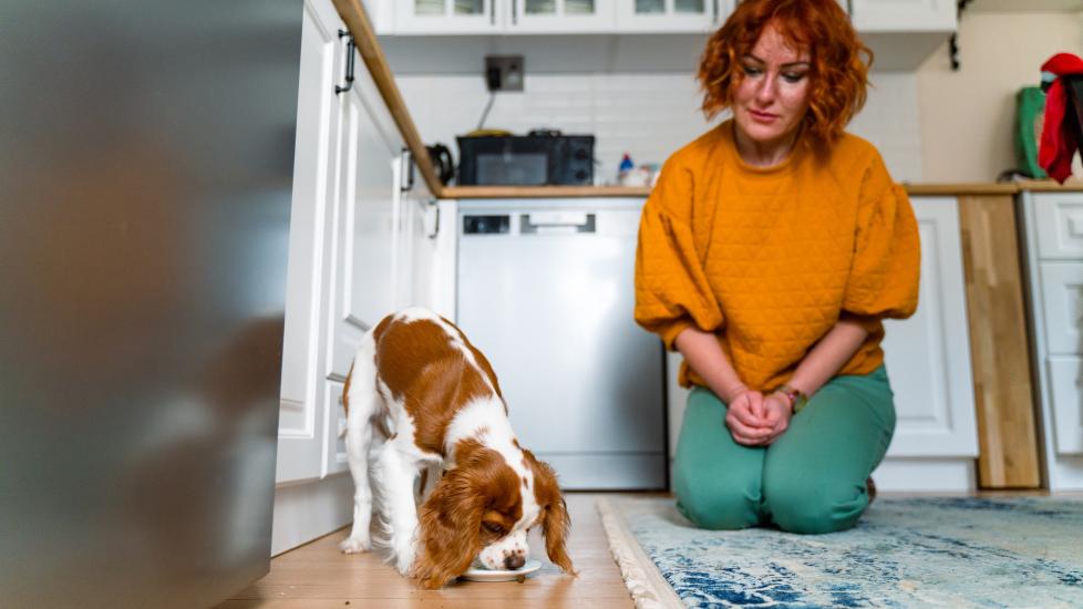 woman feeding a king charles spaniel on the kitchen floor