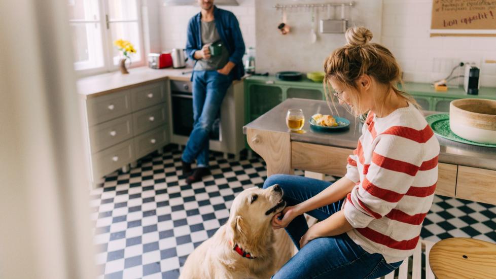 couple in a colorful kitchen petting a golden retriever