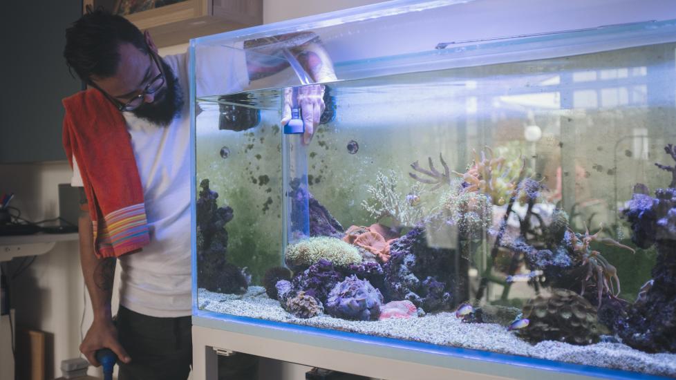 A man cleans his aquarium.