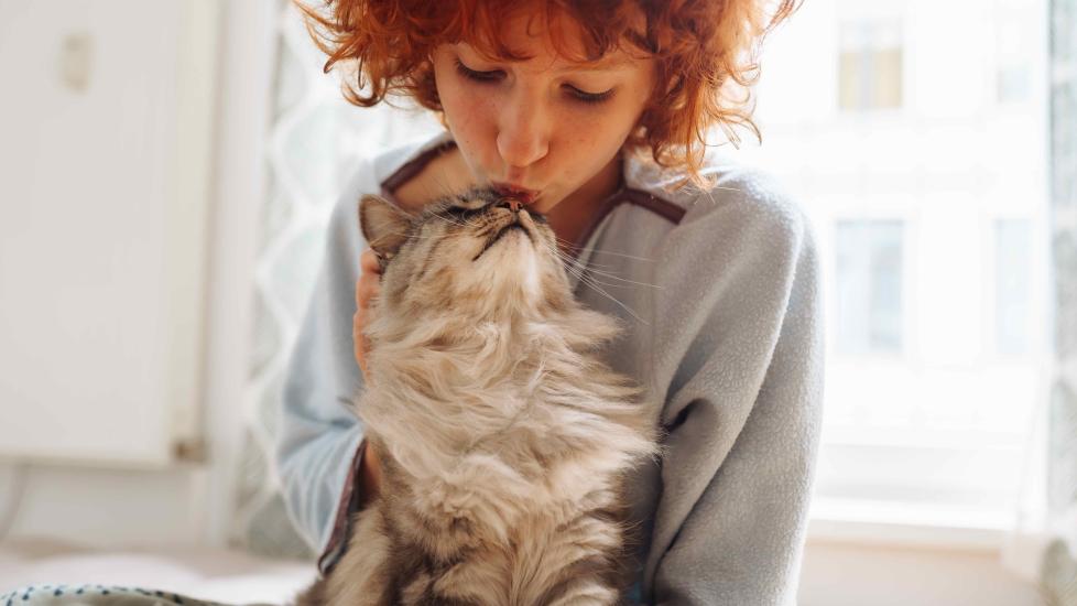 woman kissing a longhaired tabby cat on the head