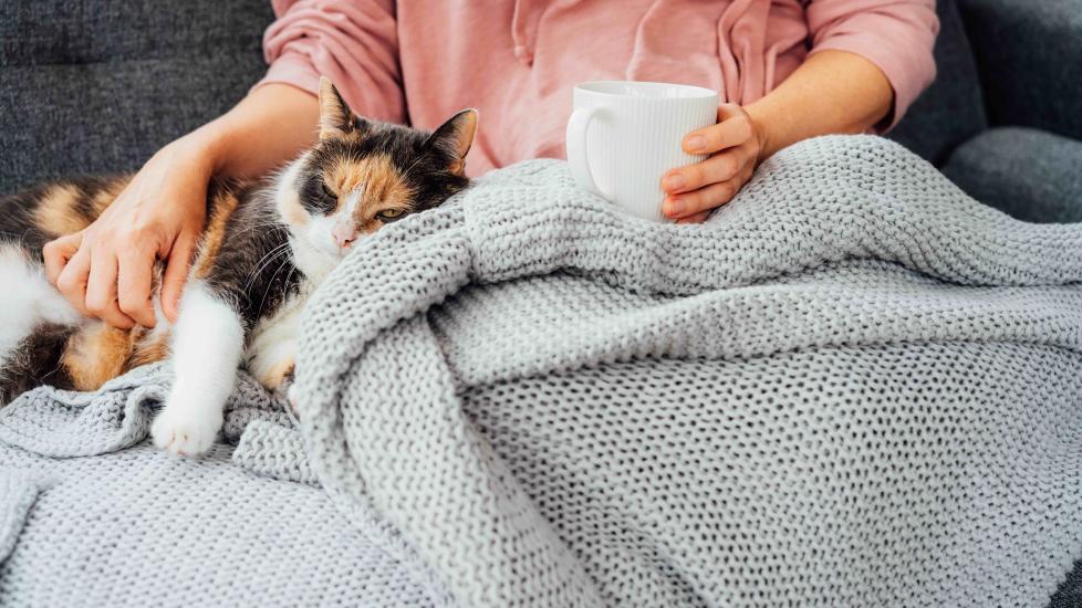 calico cat snuggling with a woman on a blanket