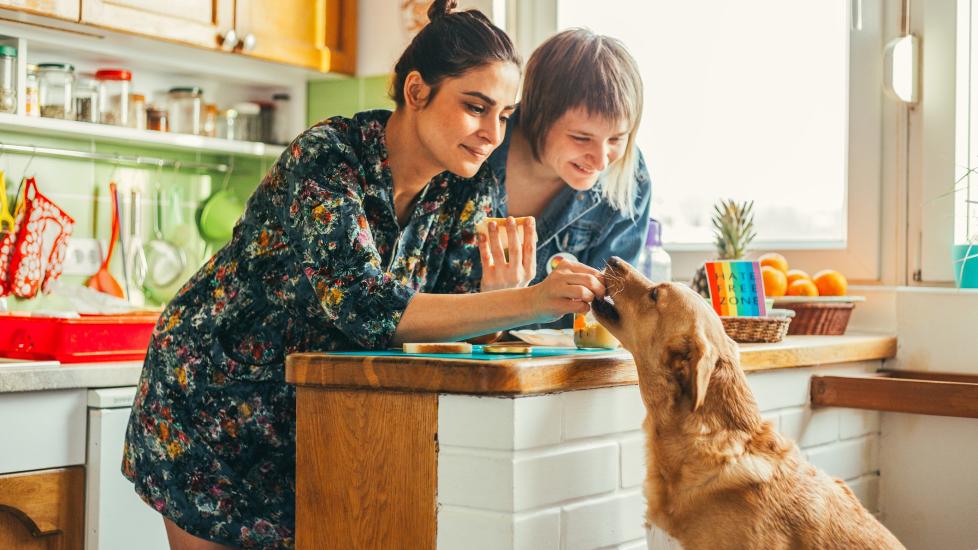 two women in the kitchen feeding their golden retriever a bite of food