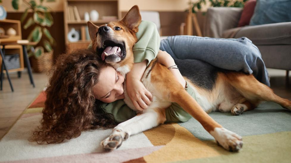happy girl lying on floor with german shepherd dog playing and laughing with dog.