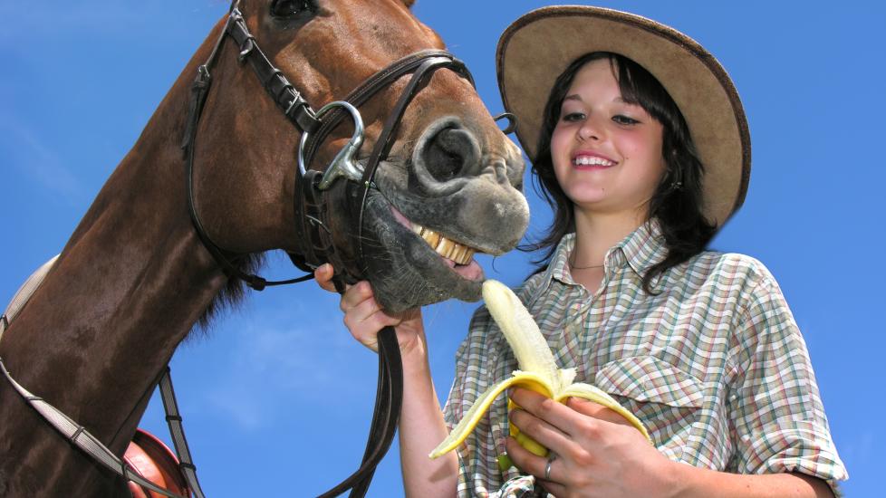 girl sharing a banana with her horse