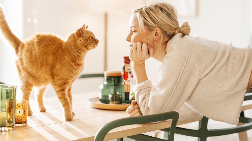 woman leaning on a kitchen table and looking at her orange tabby cat, which is standing on the table
