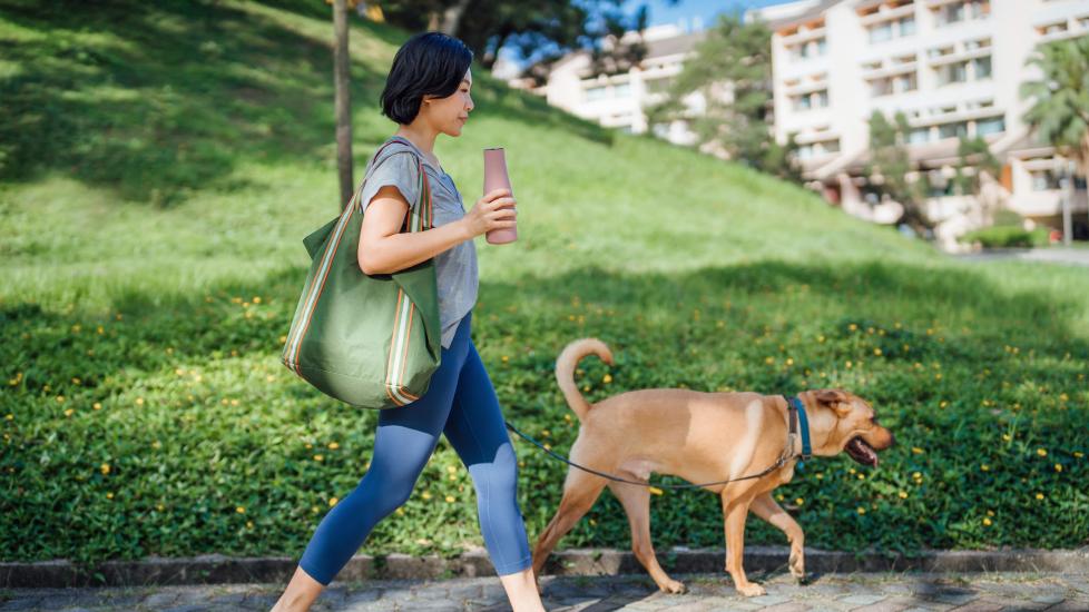 A pet parent walks her dog.