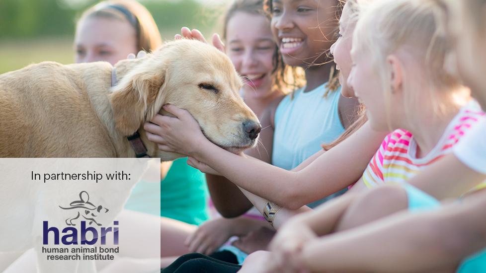 kids sitting in school yard petting golden lab puppy