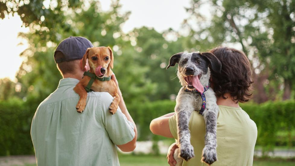 two people carrying dogs over shoulder during dog foster event.