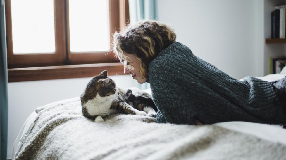 woman lying on a bed with a white and brown tabby cat