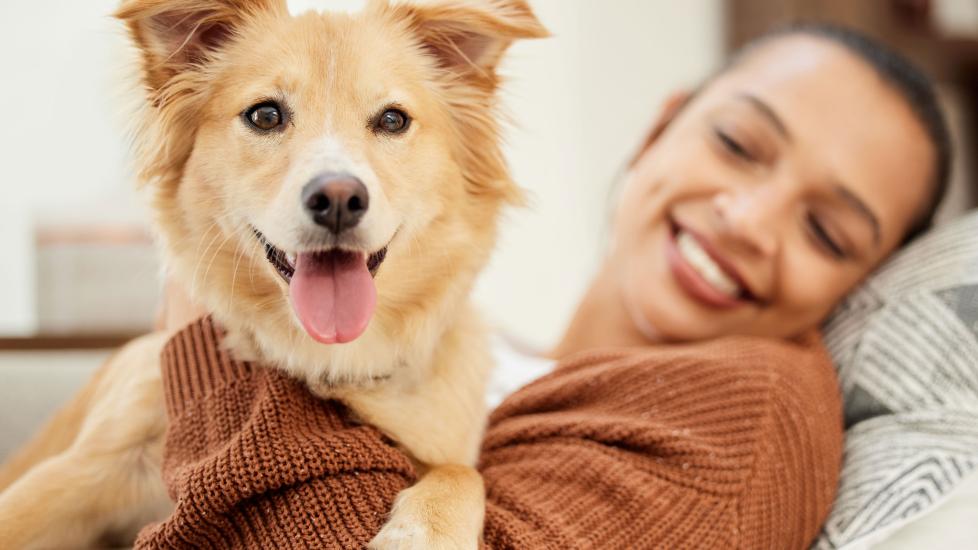 mixed breed dog and woman for best dog dna test kit