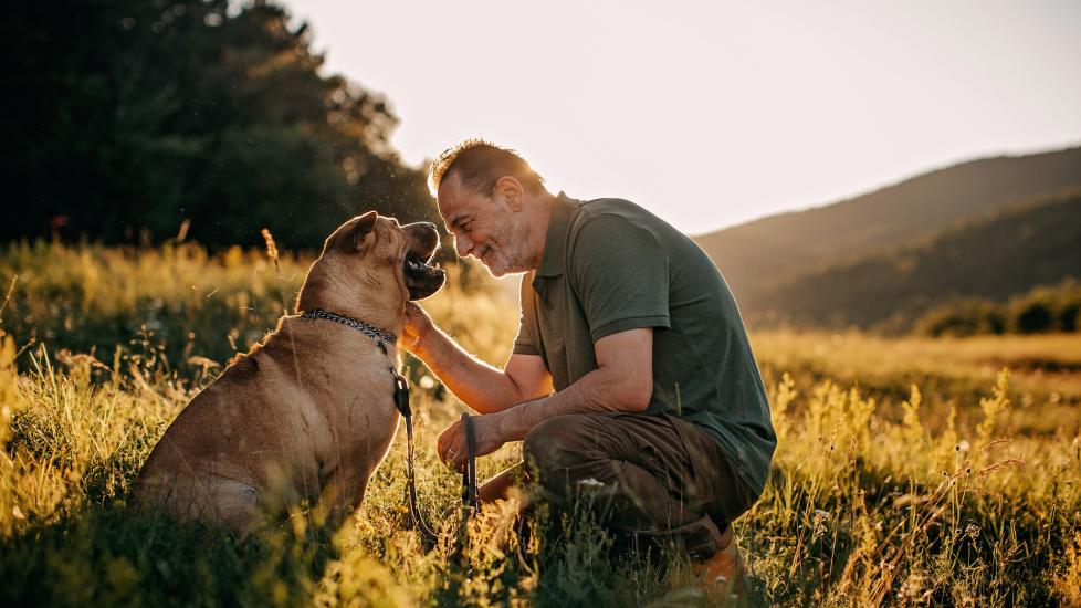 Pet euthanasia: A man sits with his dog.