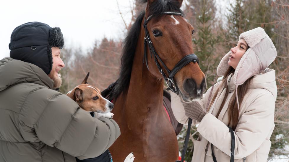 People walking with a horse and dog on a winter day