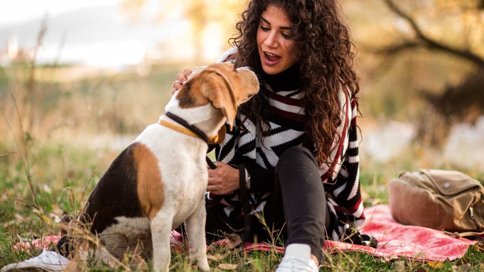 woman crouched on the ground and talking to a beagle