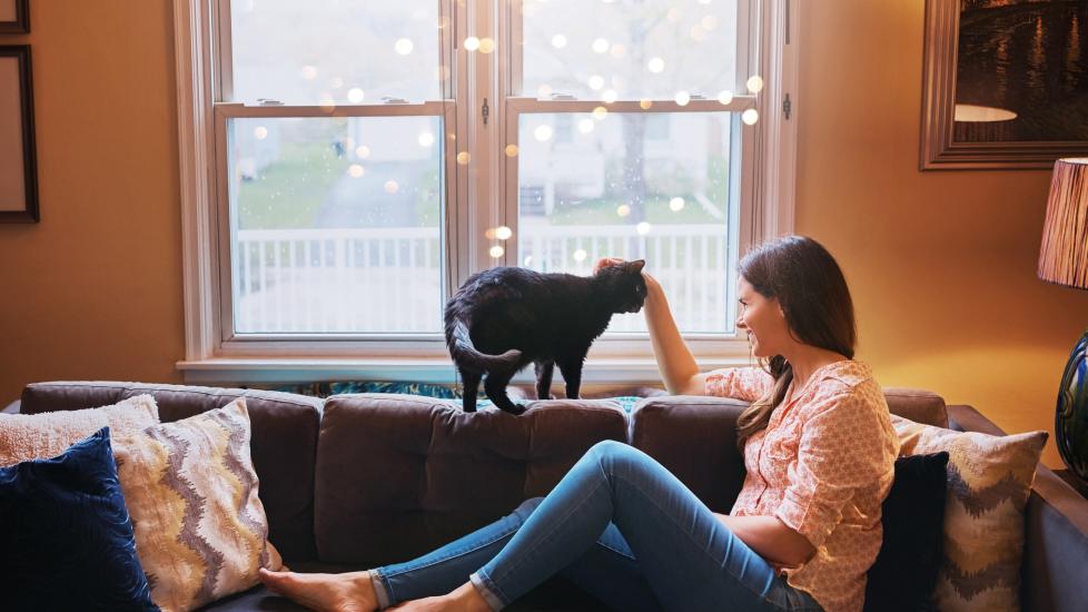 woman lounging on a couch and petting a gray cat, who is standing on a windowsill behind the couch