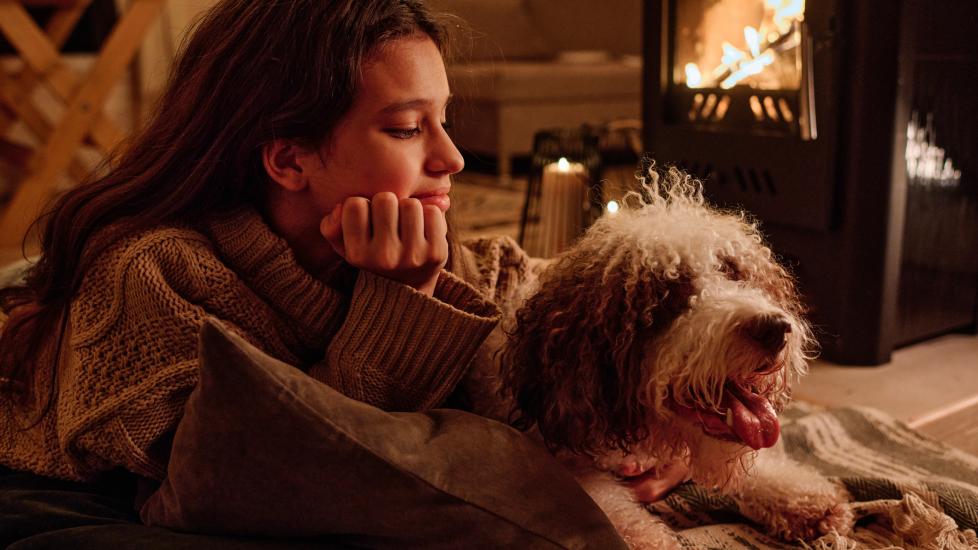 How To Keep a Dog Warm in the Winter PetMD