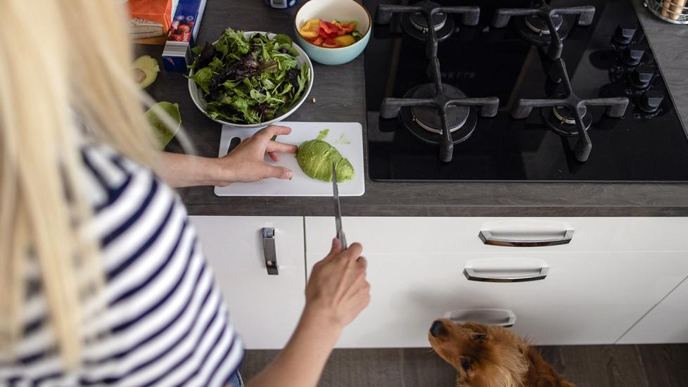 Can Dogs Eat Avocado? PetMD