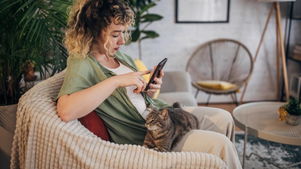 how long do fleas live without a host; woman scrolling on phone with cat in lap