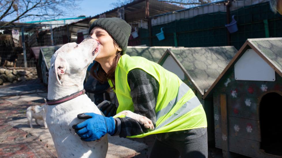 support animal rescues during national disasters, woman embracing dog cuddles.