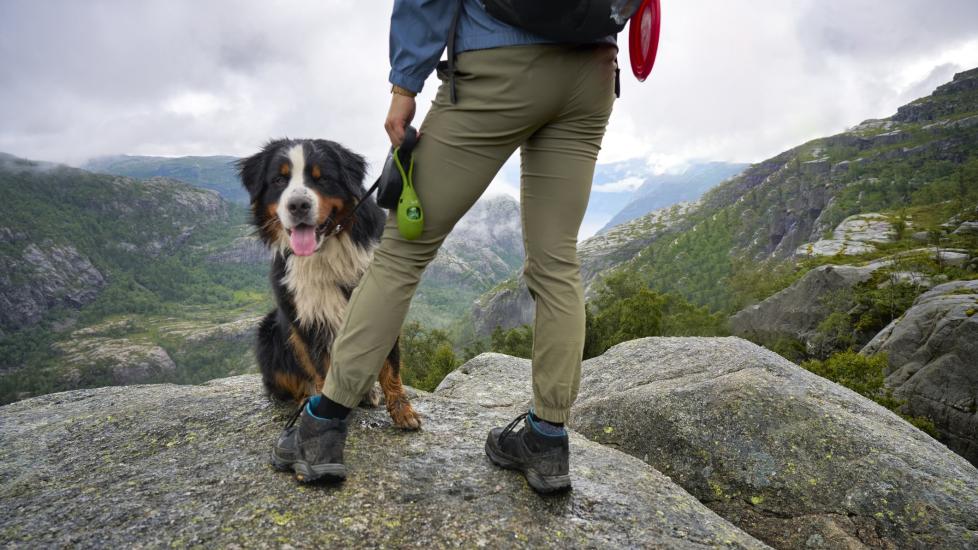 a man at a hiking lookout with his bernese mountain dog sitting beside him