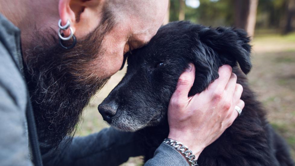 pet euthanasia; a pet parent cuddles with their dog.