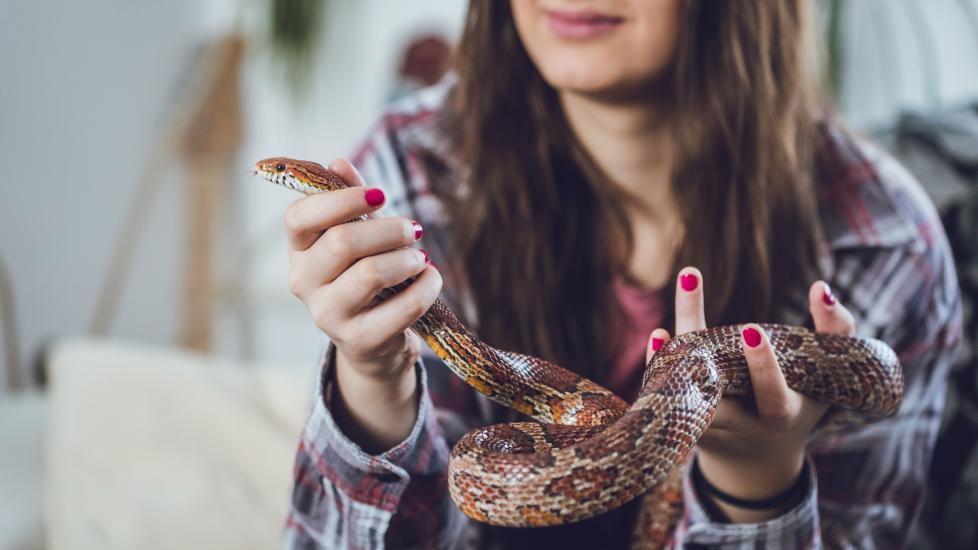 Woman holding her pet snake