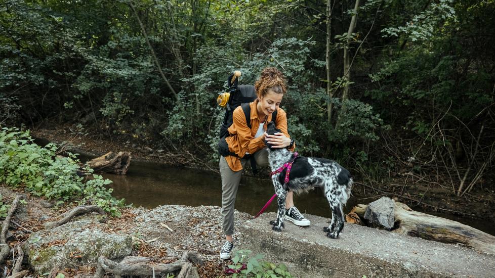 best dog hiking gear; a woman hikes with her dog across a rocky terrain.