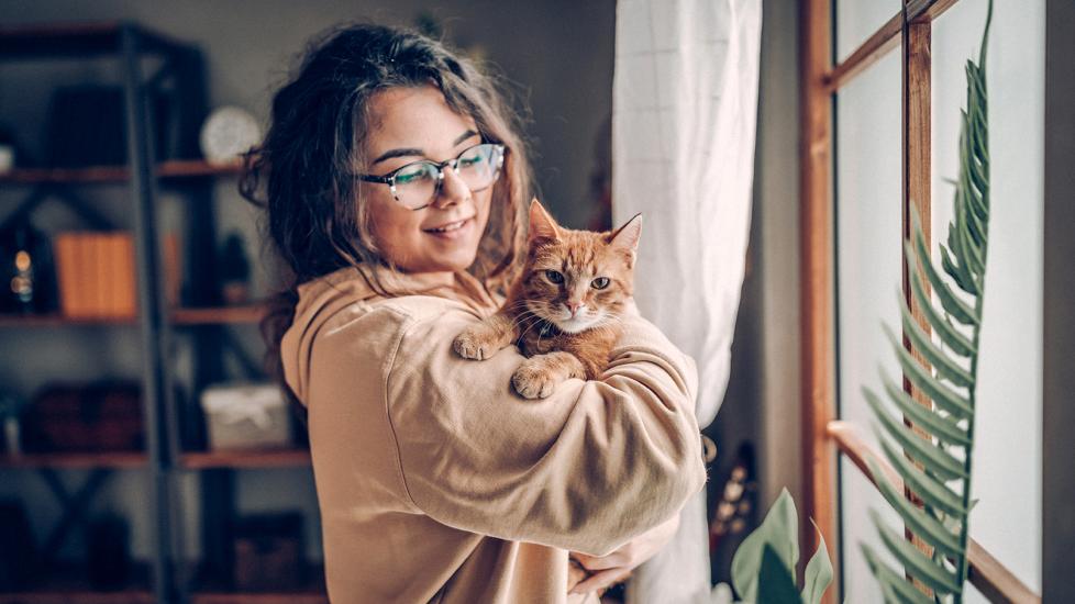 doxycycline for cats: woman holding cat