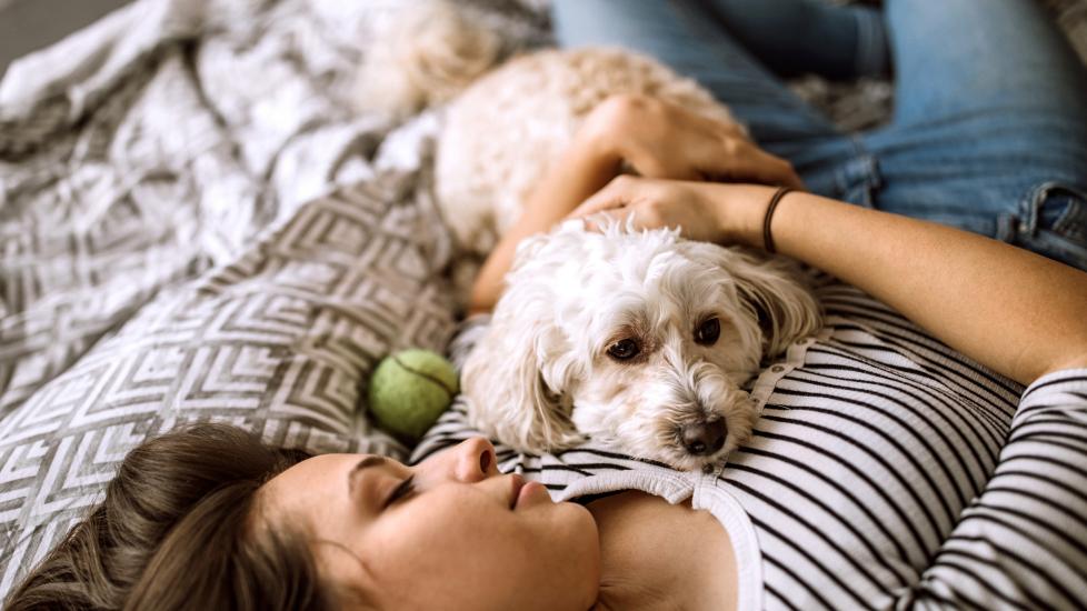 how do you know when to put a dog down? a woman lying with her older dog on the couch.