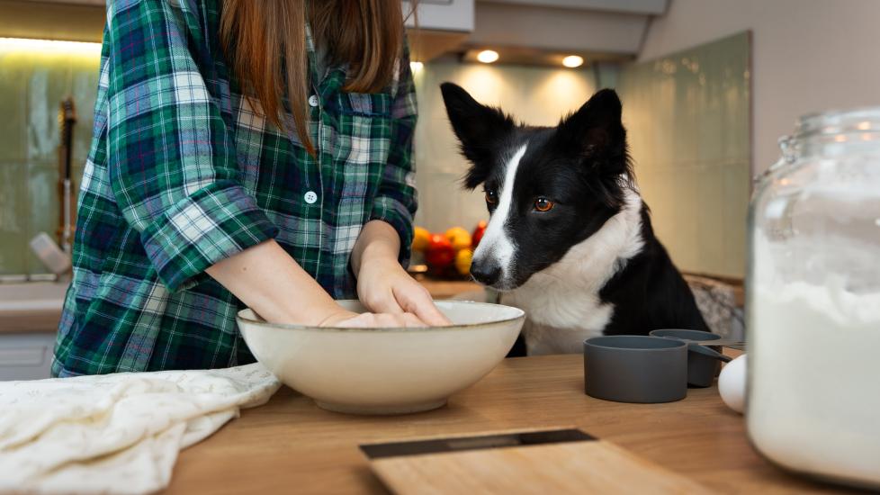 a woman prepares a batter of cookie dough with as a dog watches her.