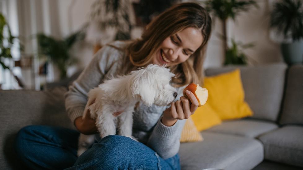 can dogs eat apples: woman eating apple with dog on lap