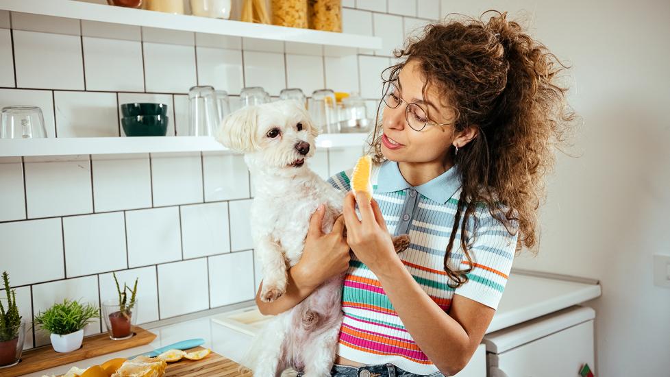 can dogs eat oranges: woman holding orange slice and dog