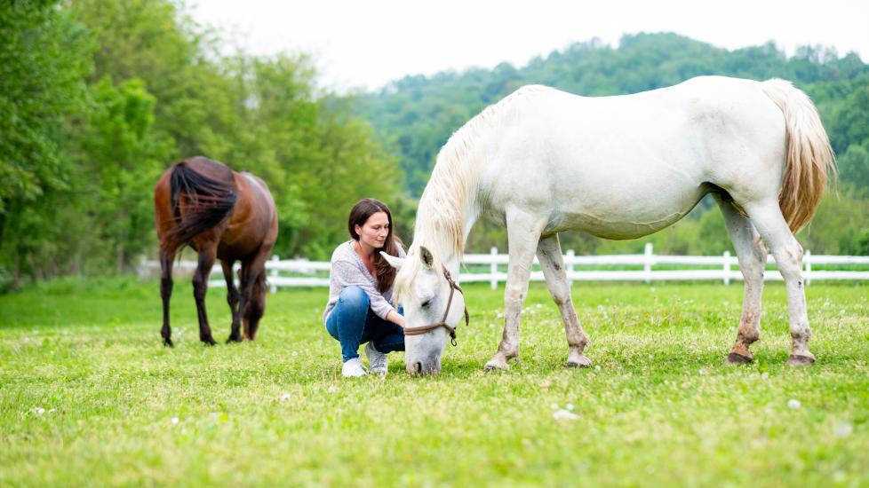 Woman petting horse in a field