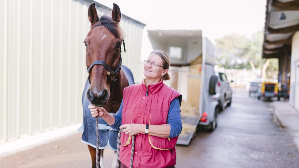 horse coming off trailer at the vet