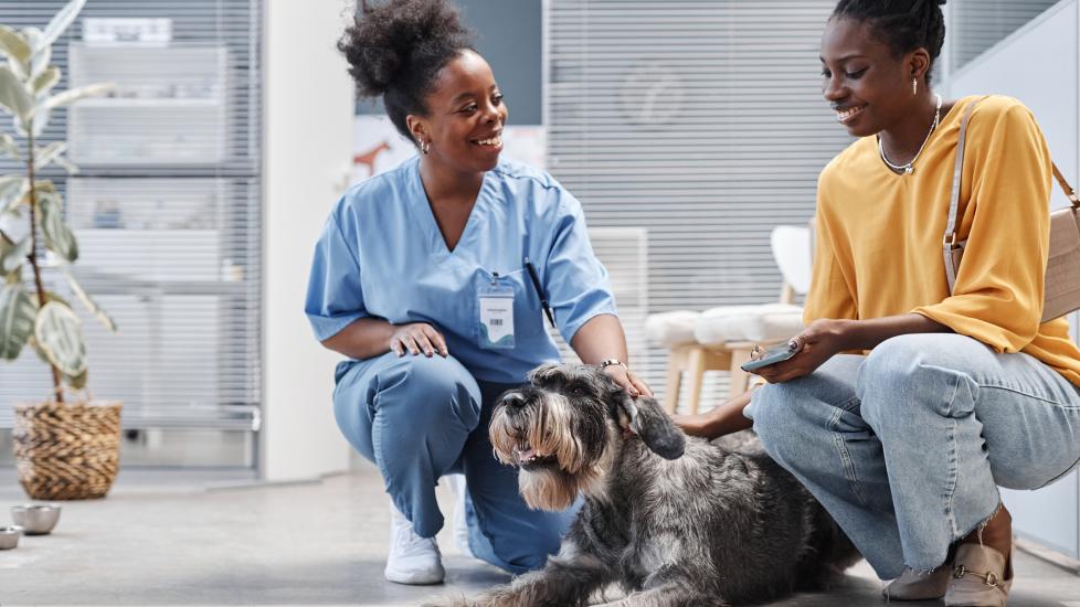 an African American woman and her dog chat with a vet doctor in a clinic waiting room before an appointment.