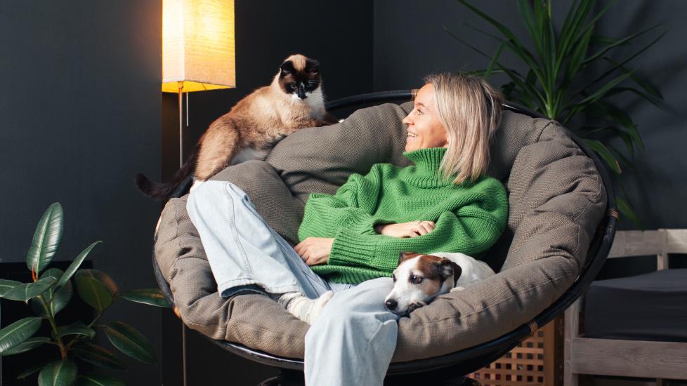 how much is pet insurance; woman relaxing with her pets