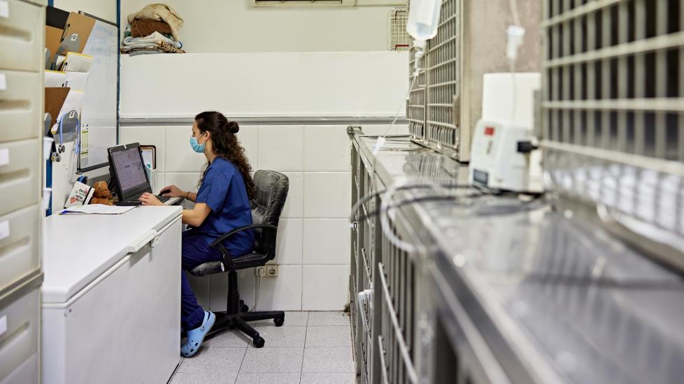 a stressed vet tech looks at computer screen at vet office.